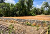 Valuble Land for Sale in Elpitiya