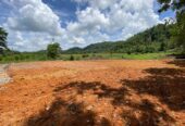 Valuble Land for Sale in Elpitiya