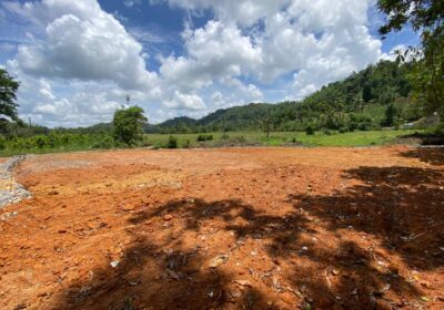 Valuble Land for Sale in Elpitiya