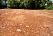 Valuble Land for Sale in Elpitiya