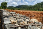 Valuble Land for Sale in Elpitiya
