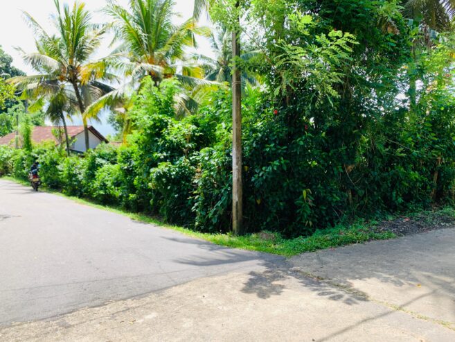 Land for Sale in Kamburugamuwa, Matara