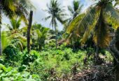 Land for Sale in Kamburugamuwa, Matara