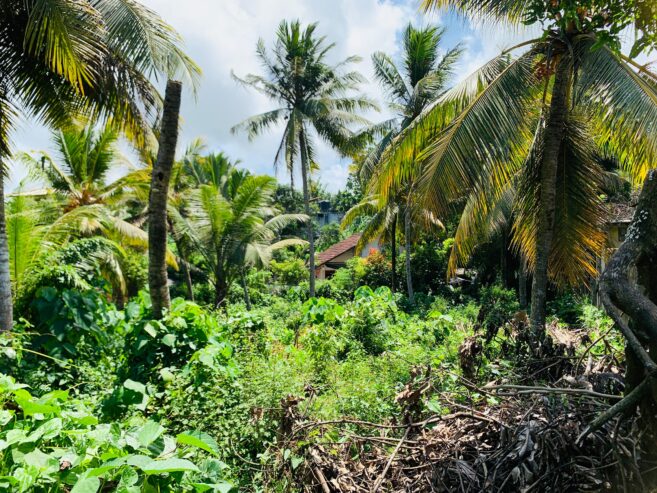Land for Sale in Kamburugamuwa, Matara