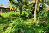 Land for Sale in Kamburugamuwa, Matara