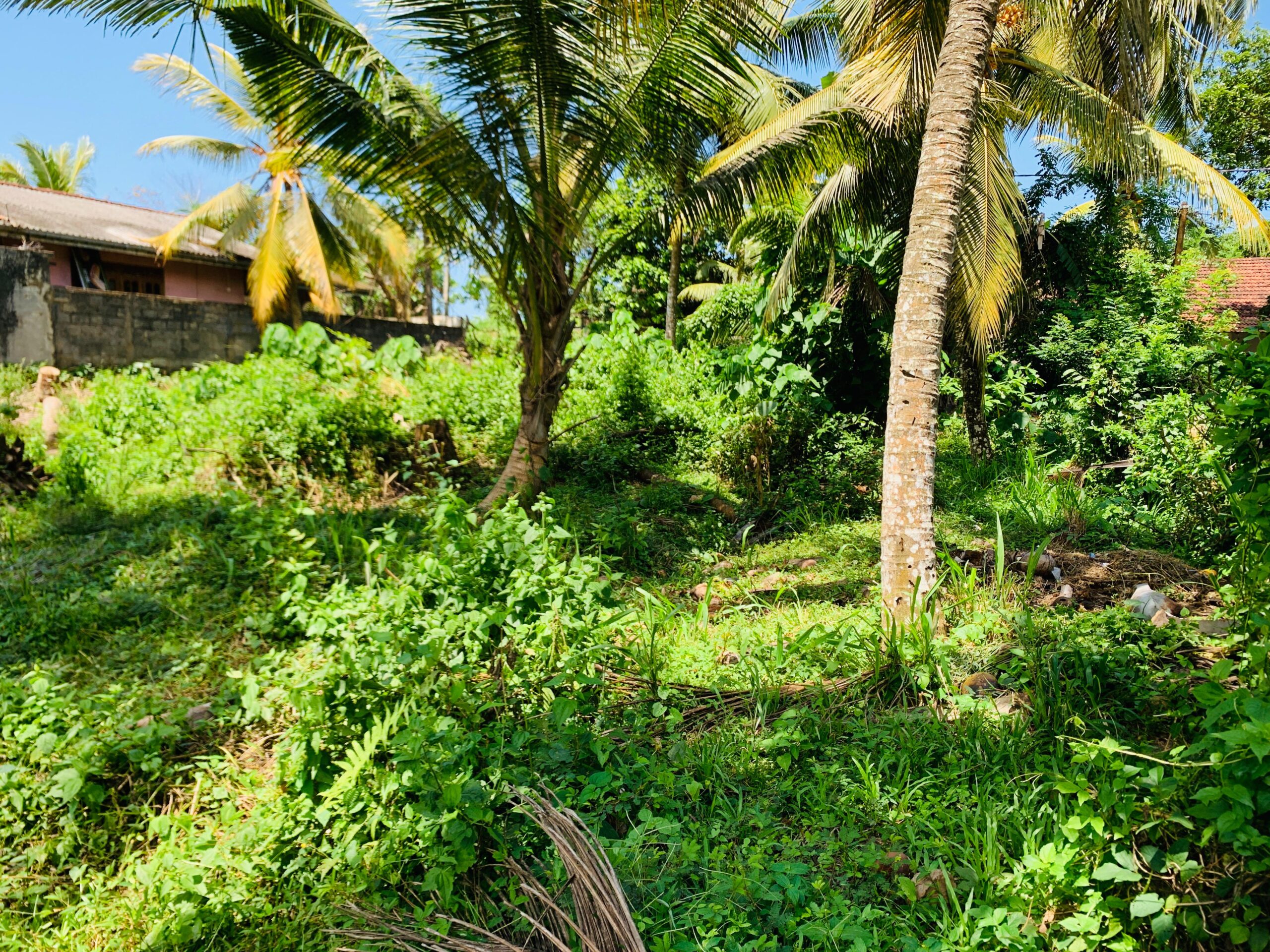 Land for Sale in Kamburugamuwa, Matara