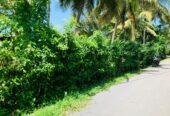Land for Sale in Kamburugamuwa, Matara