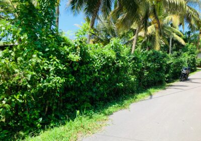 Land for Sale in Kamburugamuwa, Matara