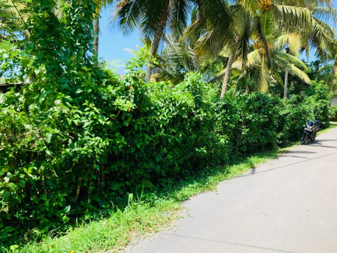 Land for Sale in Kamburugamuwa, Matara