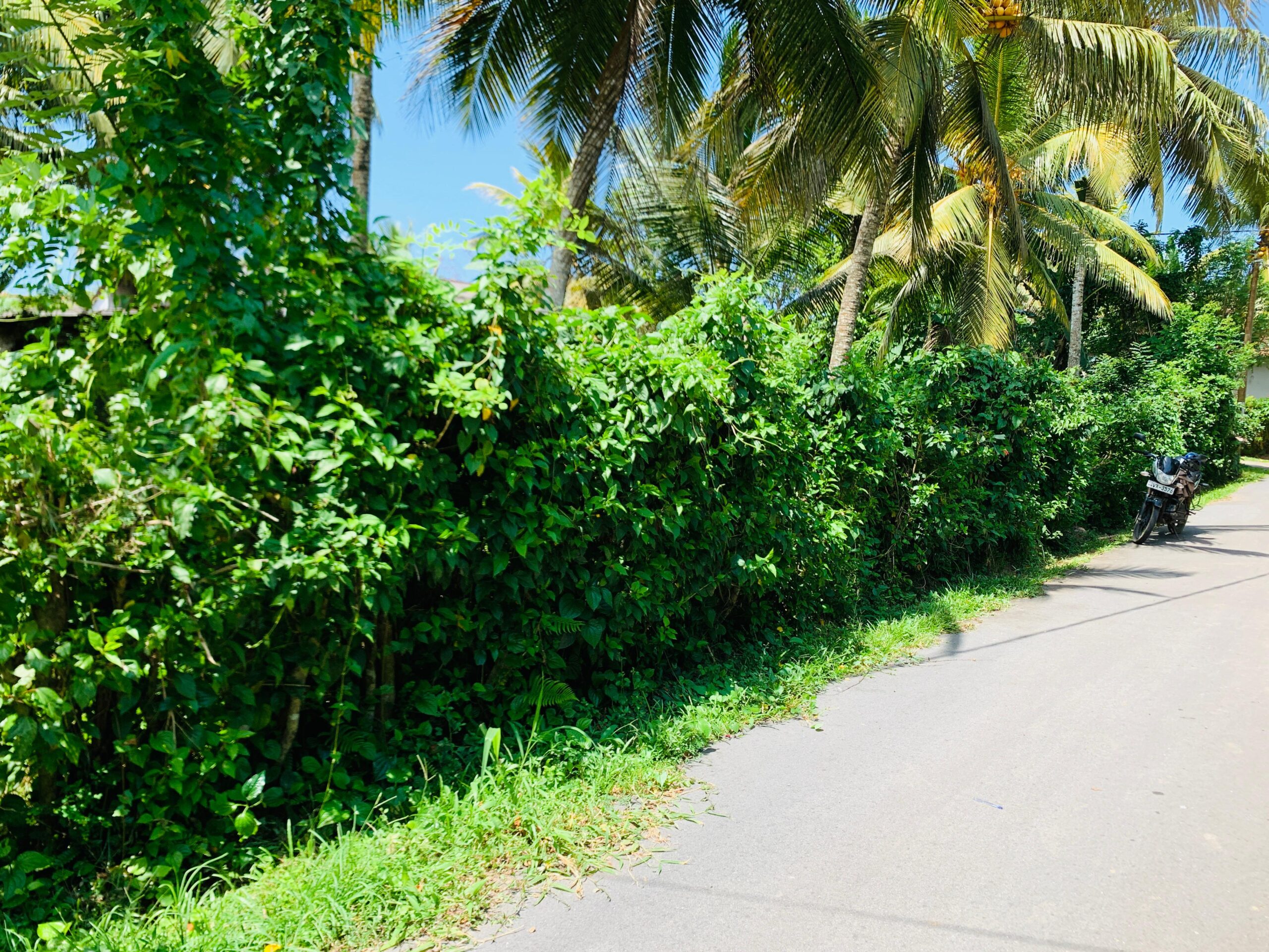 Land for Sale in Kamburugamuwa, Matara