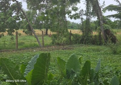 කලුතර වද්දුව Land for Sale