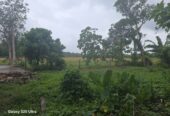 කලුතර වද්දුව Land for Sale