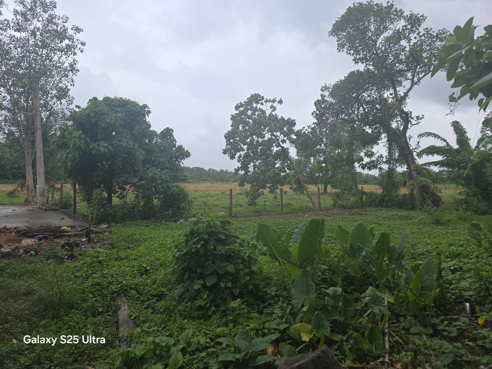 කලුතර වද්දුව Land for Sale