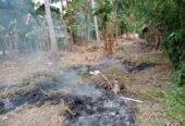 Land for Sale in Minuwangate, Wariyapola