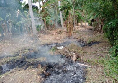 Land for Sale in Minuwangate, Wariyapola