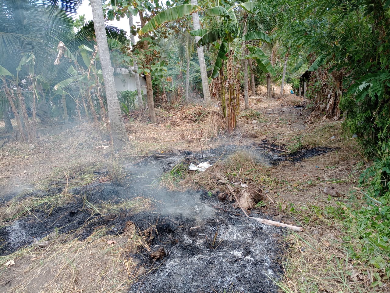 Land for Sale in Minuwangate, Wariyapola