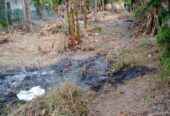 Land for Sale in Minuwangate, Wariyapola