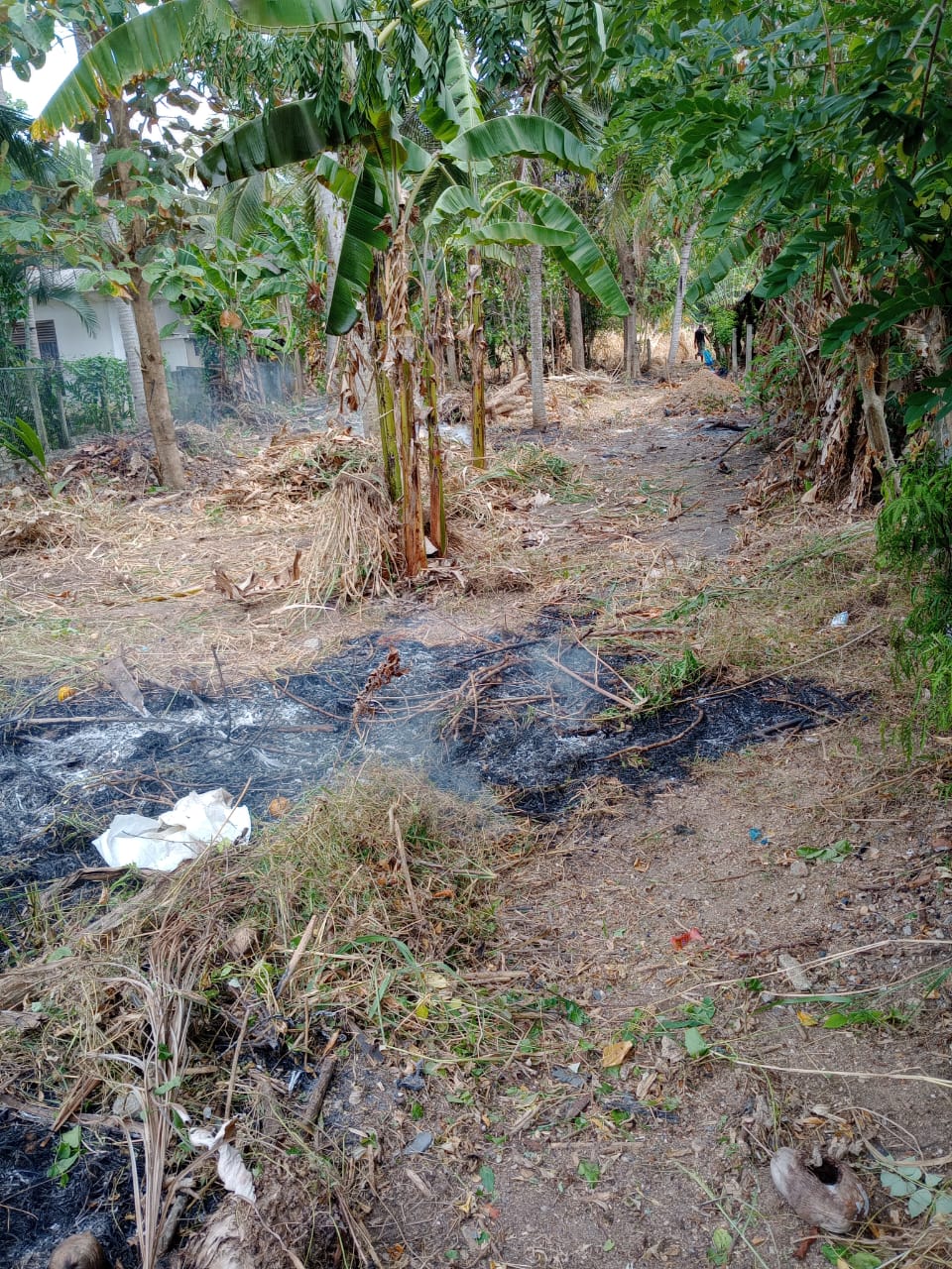 Land for Sale in Minuwangate, Wariyapola