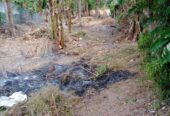 Land for Sale in Minuwangate, Wariyapola