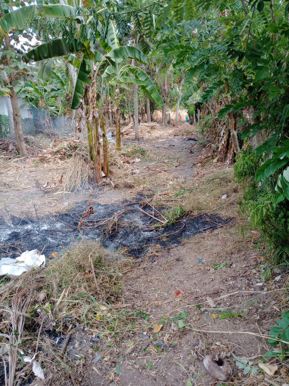 Land for Sale in Minuwangate, Wariyapola