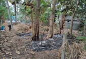 Land for Sale in Minuwangate, Wariyapola
