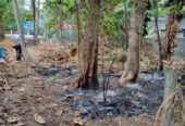 Land for Sale in Minuwangate, Wariyapola