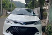 Toyota Axio WXB Anniversary 2017