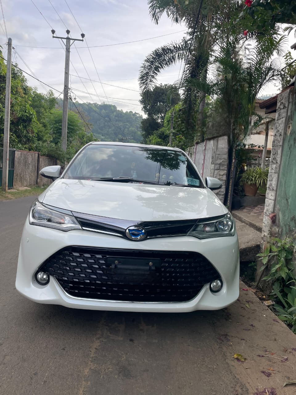 Toyota Axio WXB Anniversary 2017