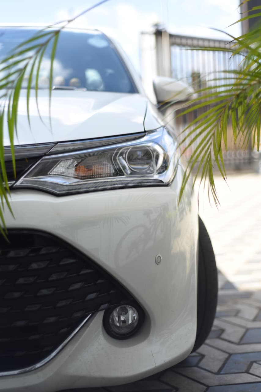 Toyota Axio WXB Anniversary 2017