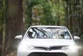 Toyota Axio WXB Anniversary 2017