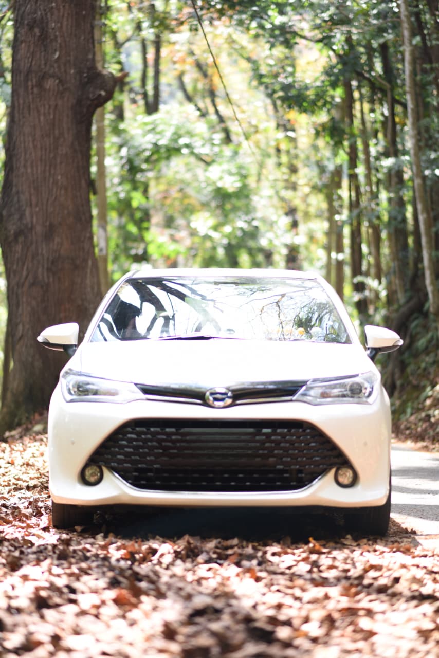 Toyota Axio WXB Anniversary 2017