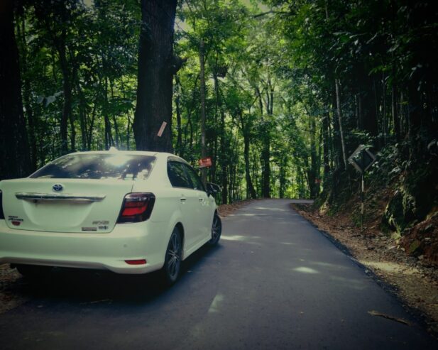 Toyota Axio WXB Anniversary 2017