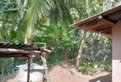 House and Land in Pannipitiya (Baroda watte)