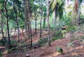 Land for Sale in Matara