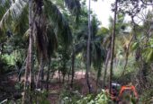 Land for Sale in Matara