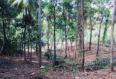Land for Sale in Matara