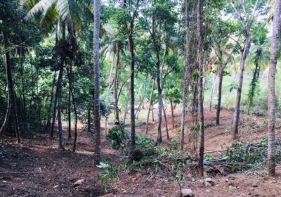 Land for Sale in Matara