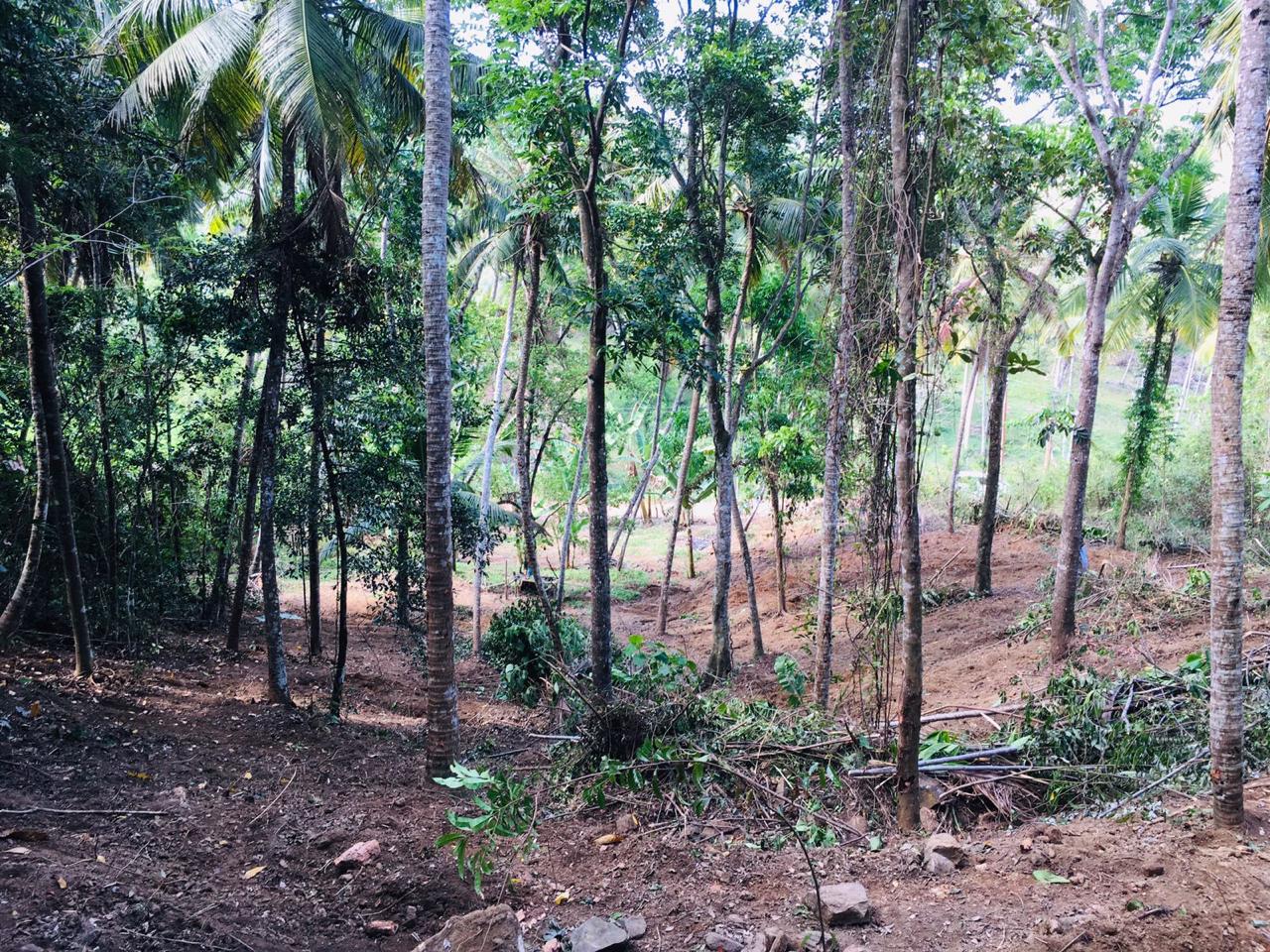 Land for Sale in Matara