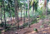 Land for Sale in Matara