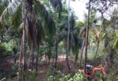 Land for Sale in Matara