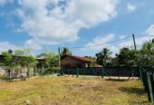 Land for Sale in Gampaha City