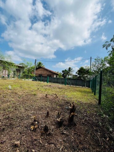 Land for Sale in Gampaha City