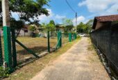Land for Sale in Gampaha City