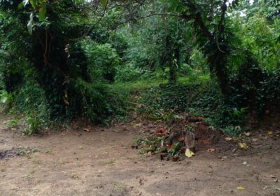 Land with House for Sale in Kurunegala
