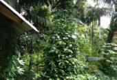 Land with House for Sale in Kurunegala