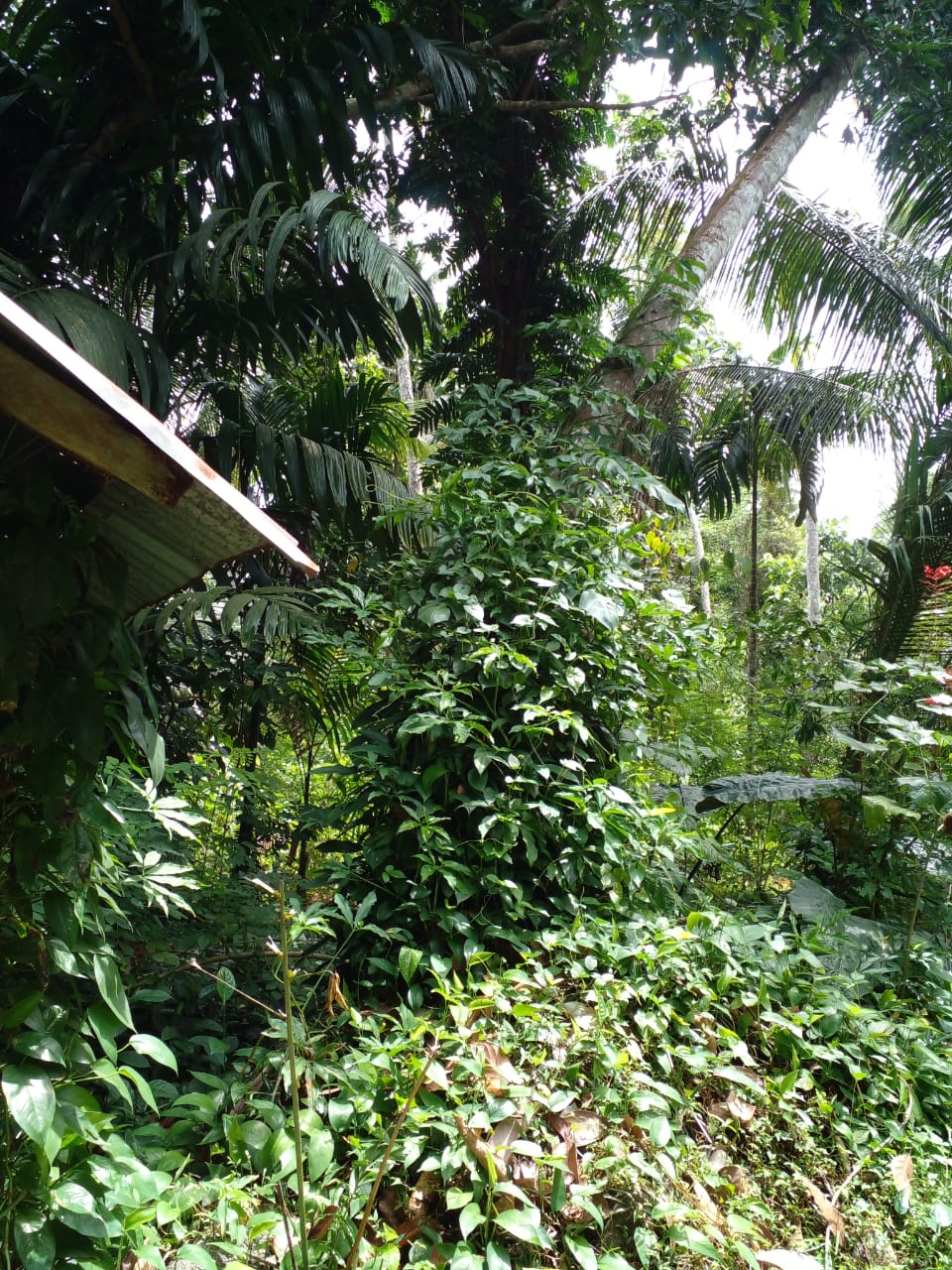 Land with House for Sale in Kurunegala