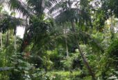 Land with House for Sale in Kurunegala