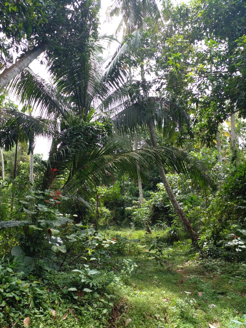 Land with House for Sale in Kurunegala