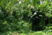Land with House for Sale in Kurunegala