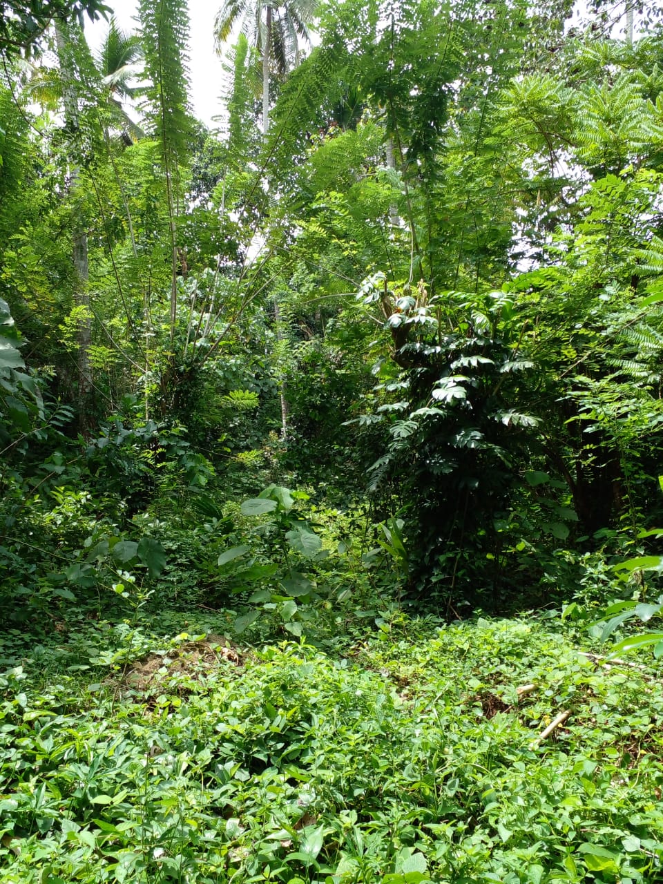 Land with House for Sale in Kurunegala